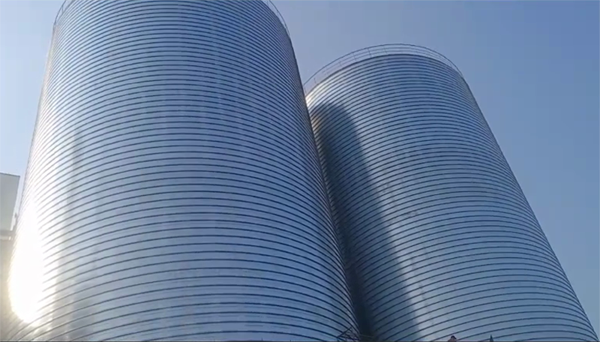 中和镇2座混凝土高架卷板仓